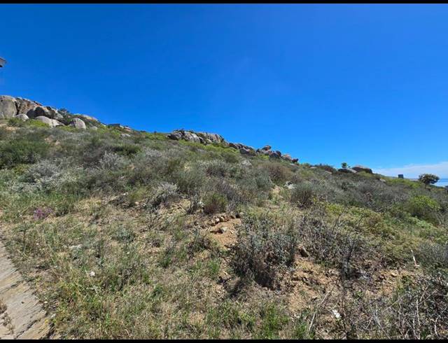 LAND FOR SALE IN BLUEBERRY HILL